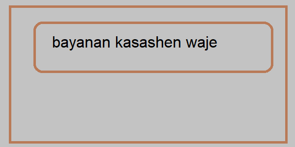 bayanan kasashen waje