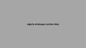 algeria whatsapp number data 